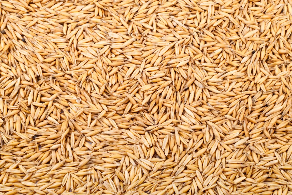 Riz